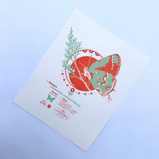 Juniper Hairstreak Art Print