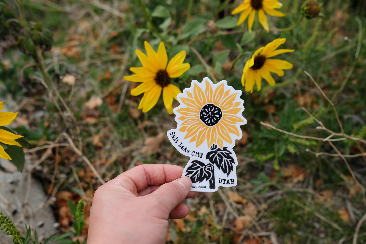 Stickers - Evi Studio