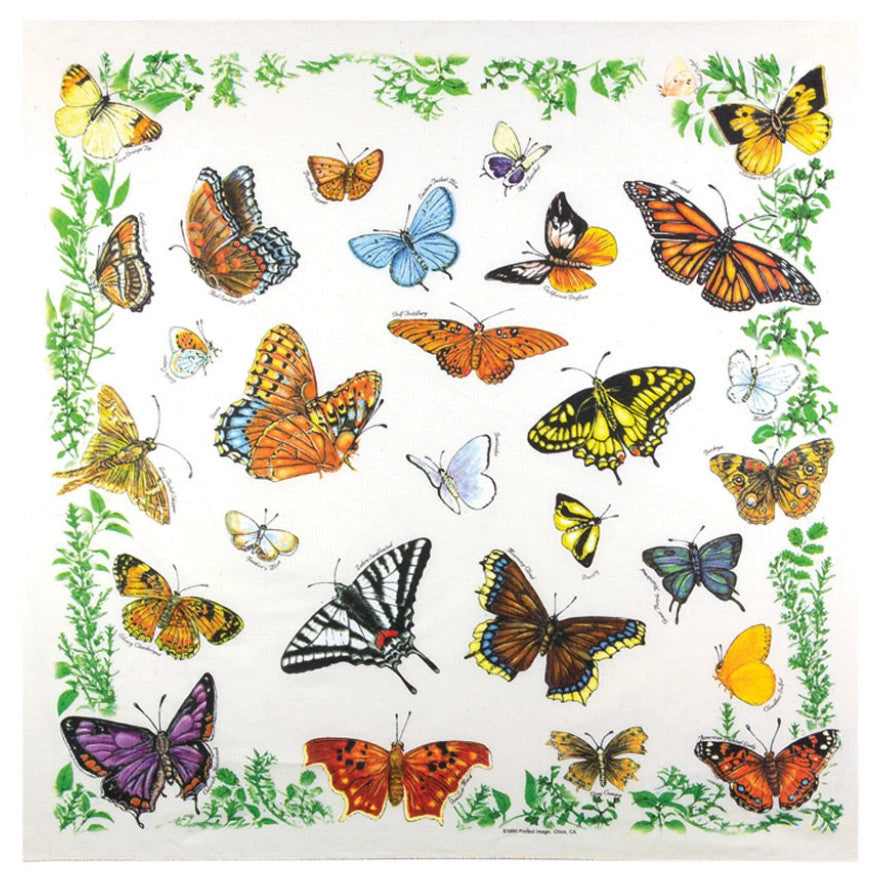 Bandanas - One Bay Distribution