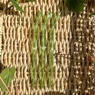 Glass Straws - Emily Page Co.