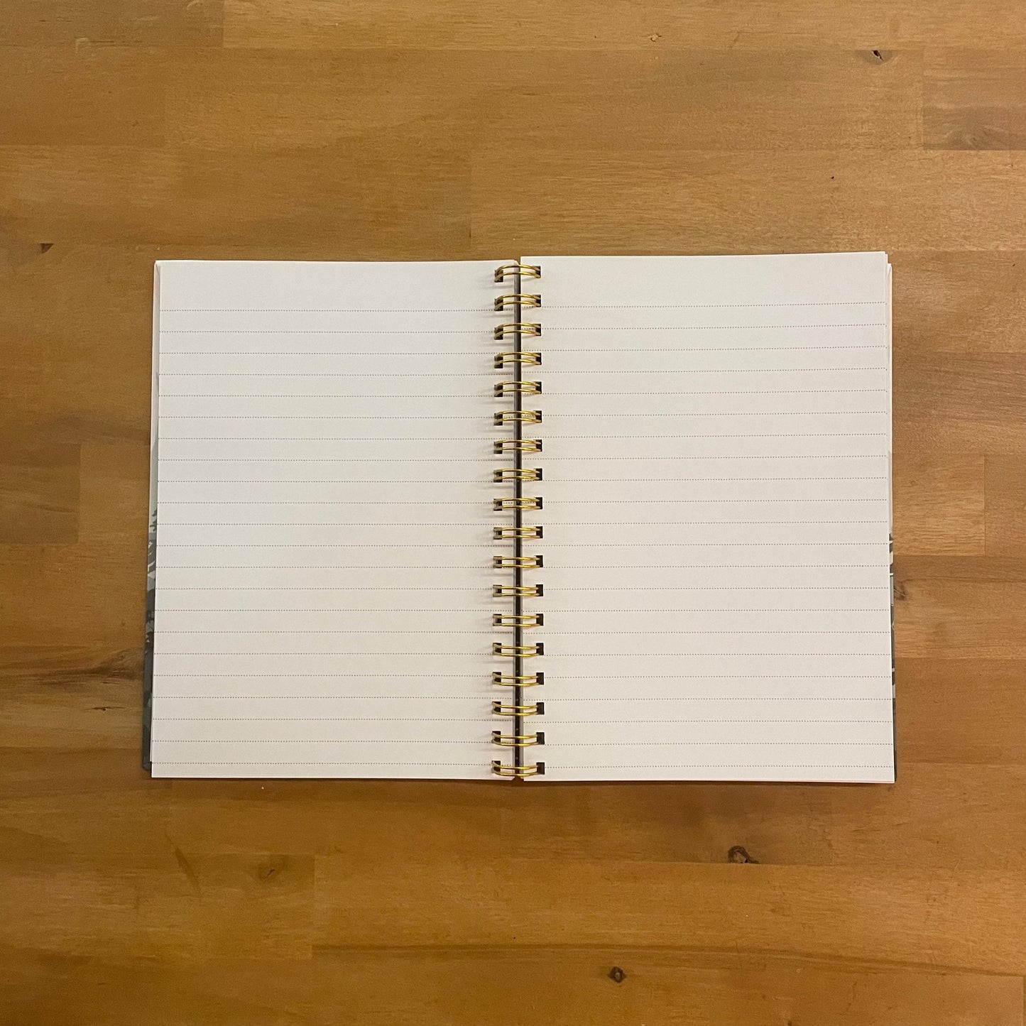 Mountain Notebook - Frolic - S&H