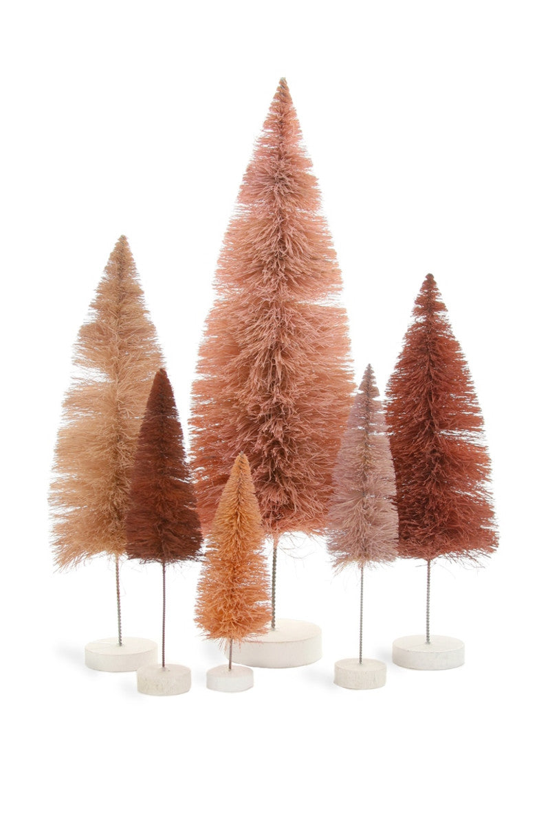 Bottle Brush Tree Rose - Assorted Sizes - Cody Foster - S&H
