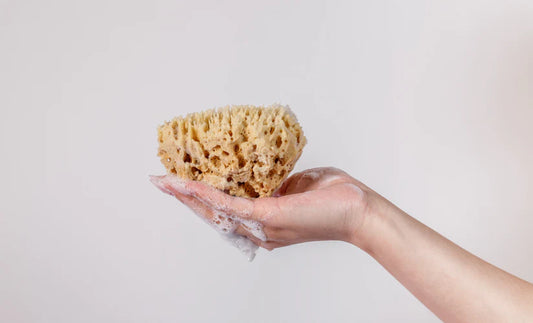 Organic Sea Sponge - myBase