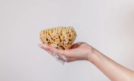 Organic Sea Sponge - myBase - S&H