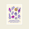 Wildflowers Chart Print - Goodnight Pine - S&H