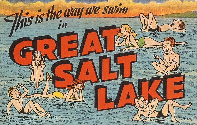 UT-75 Floating On Great Salt Lake, Utah, Cartoon, Sticker