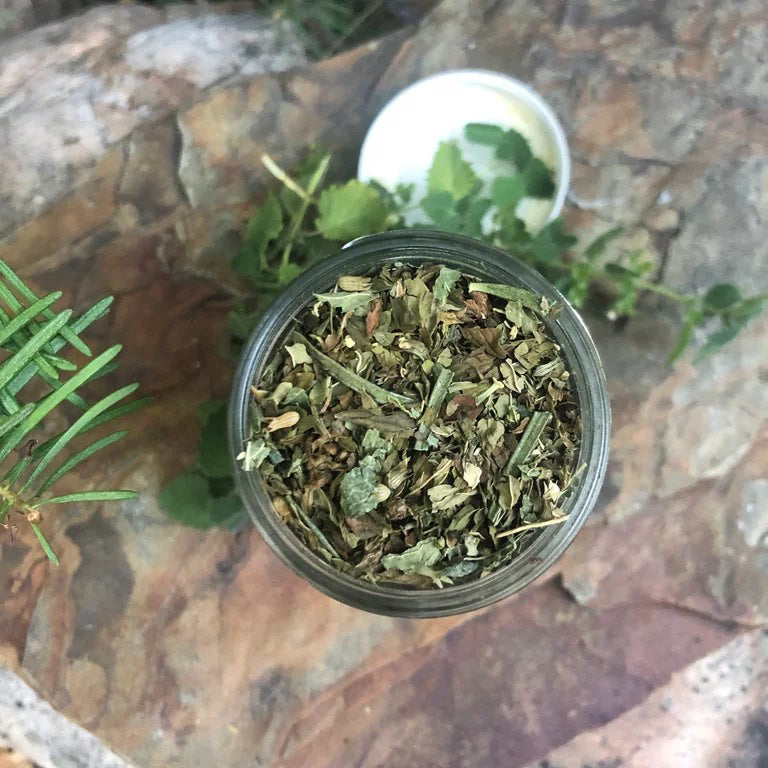 Organic Mountain Mint Tea